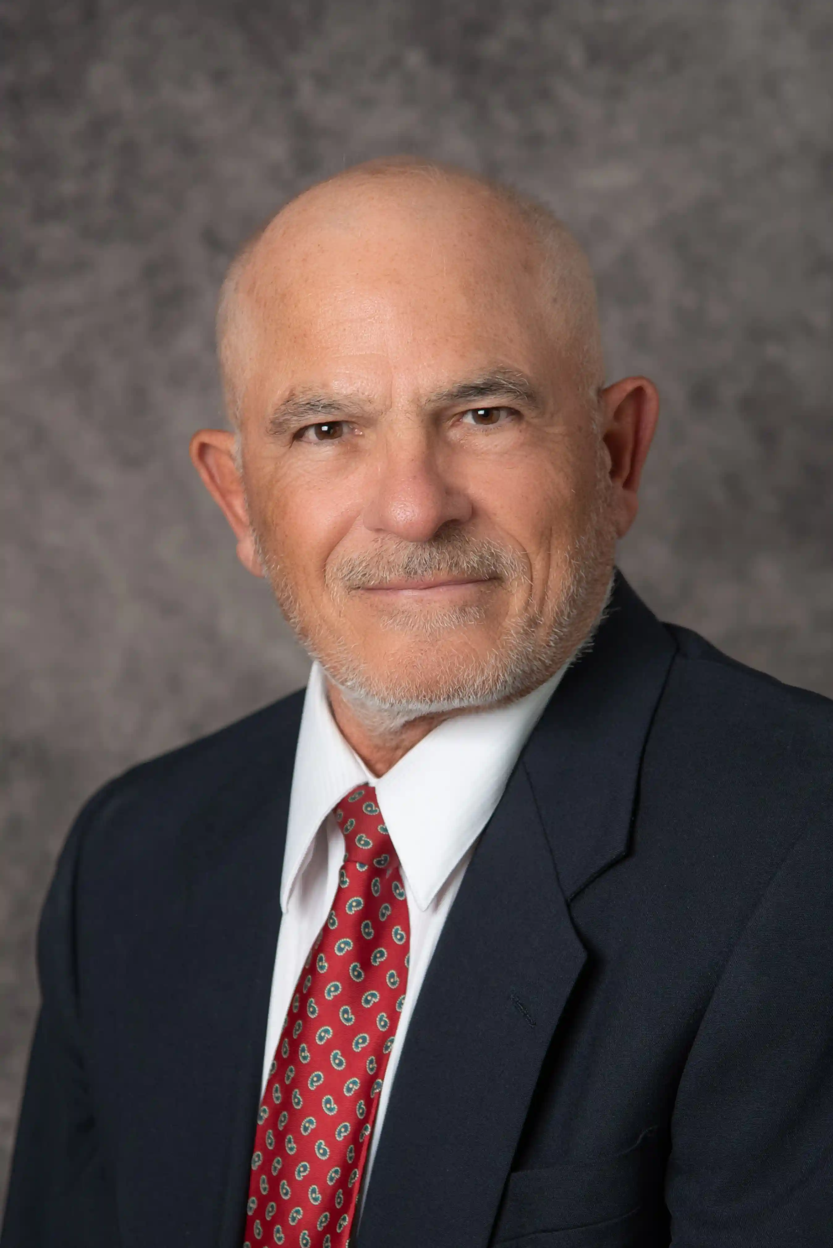 Vice President